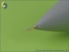 Master AM-48-007 F-14 Alfa probe & Angle Of Attack probe (1:48)